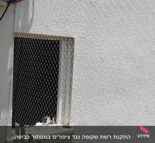 רשת מתכת על חלון למניעת כניסת יונים